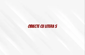 obiecte cu litera s