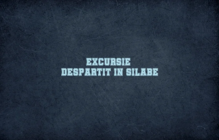 excursie despartit in silabe