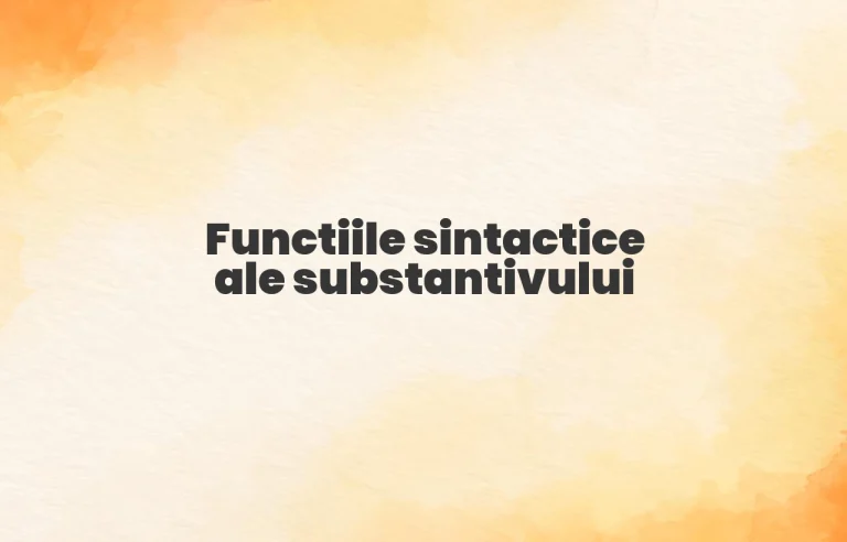 functii sintactice substantiv