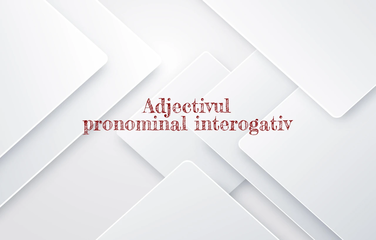 adjectiv pronominal interogativ