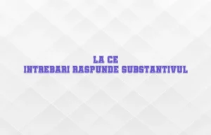 la ce intrebari raspunde substantivul