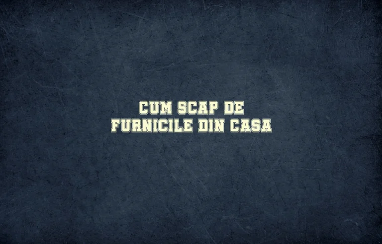 cum scap de furnicile din casa