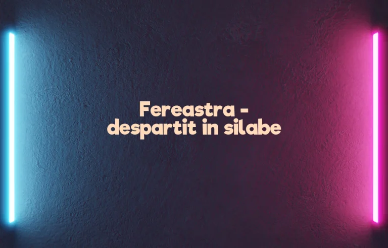 fereastra despartit in silabe