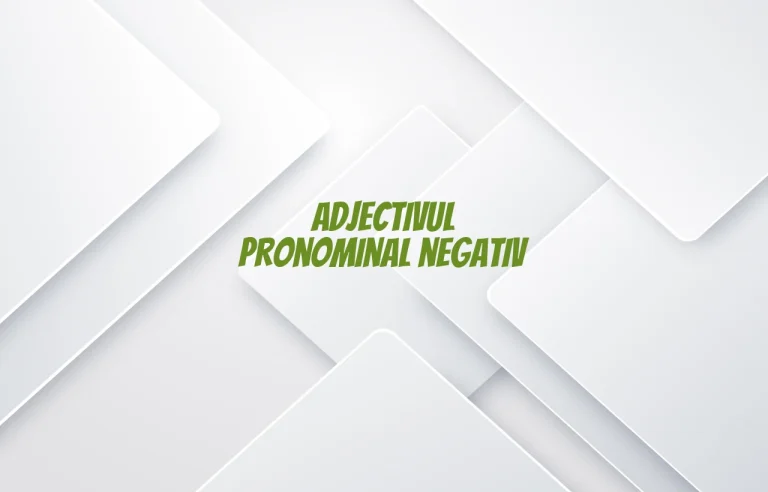 adjectiv pronominal negativ