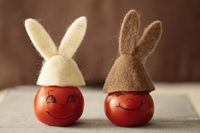 cat mananca un iepure pe zi