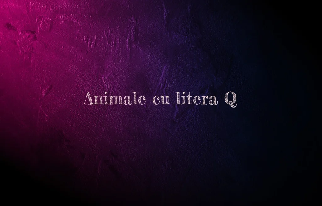 animale cu litera q
