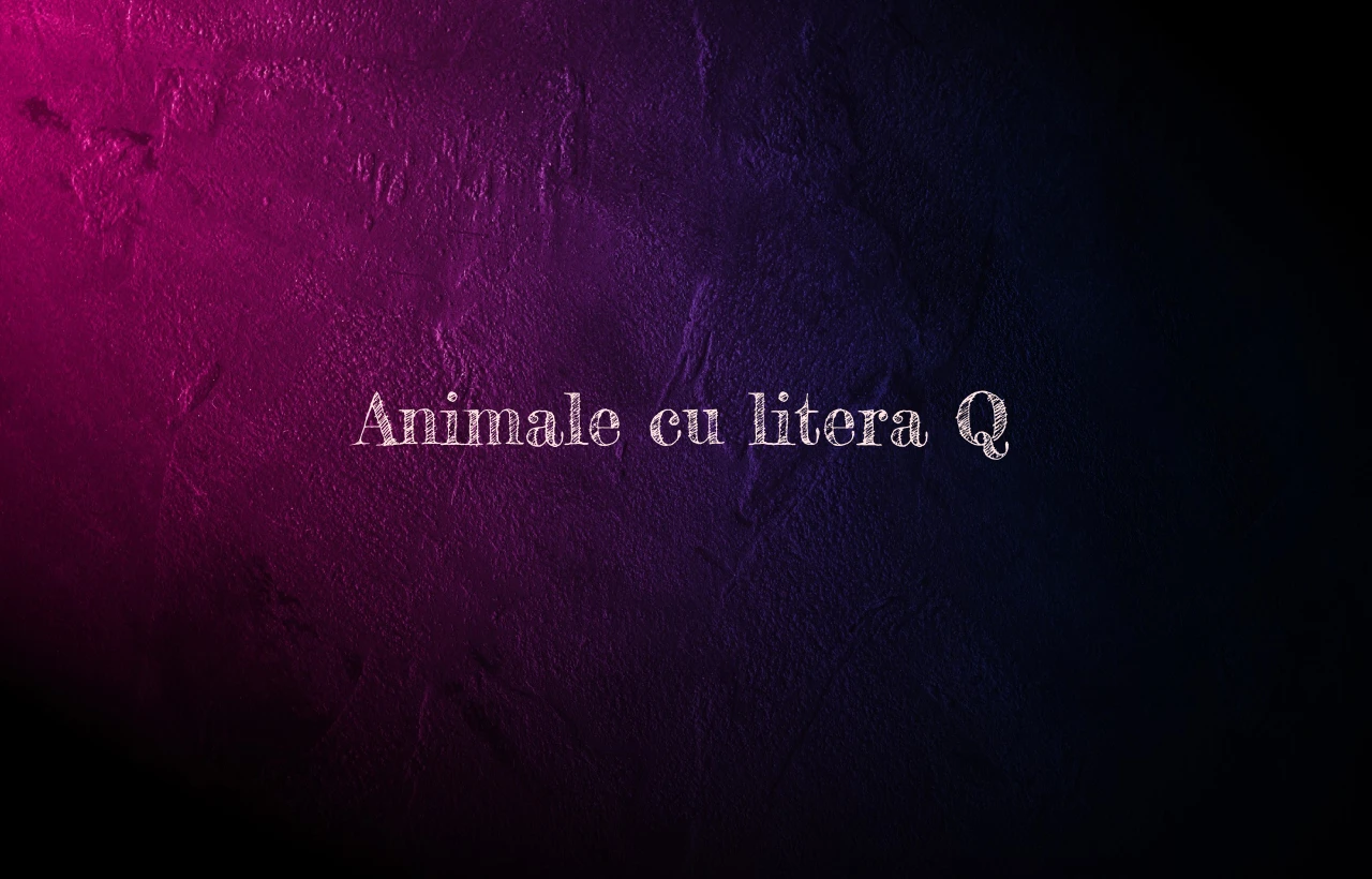 animale cu litera q