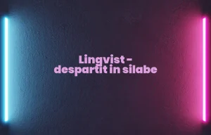 lingvist despartit in silabe