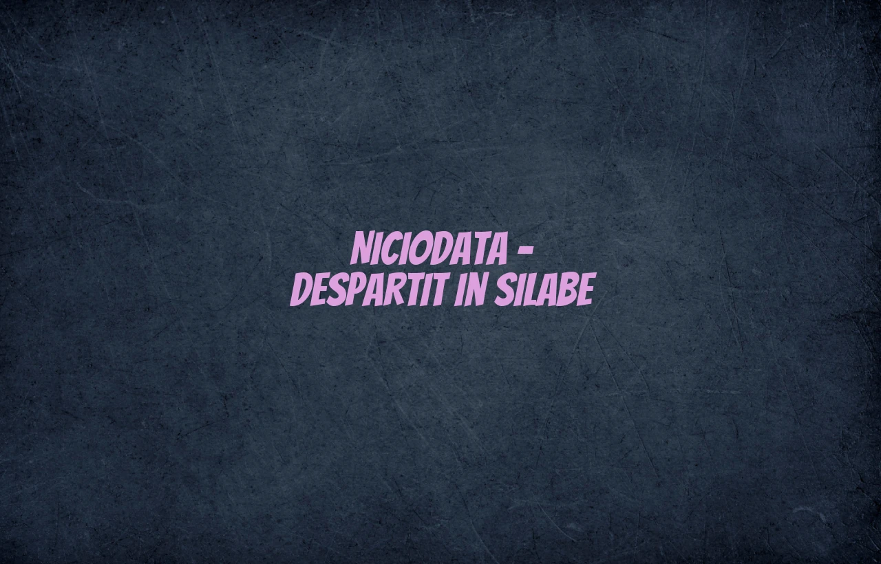 niciodata despartit in silabe
