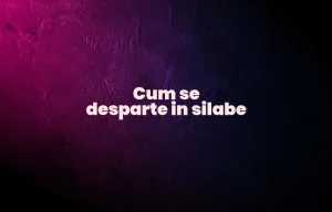 cum se desparte in silabe