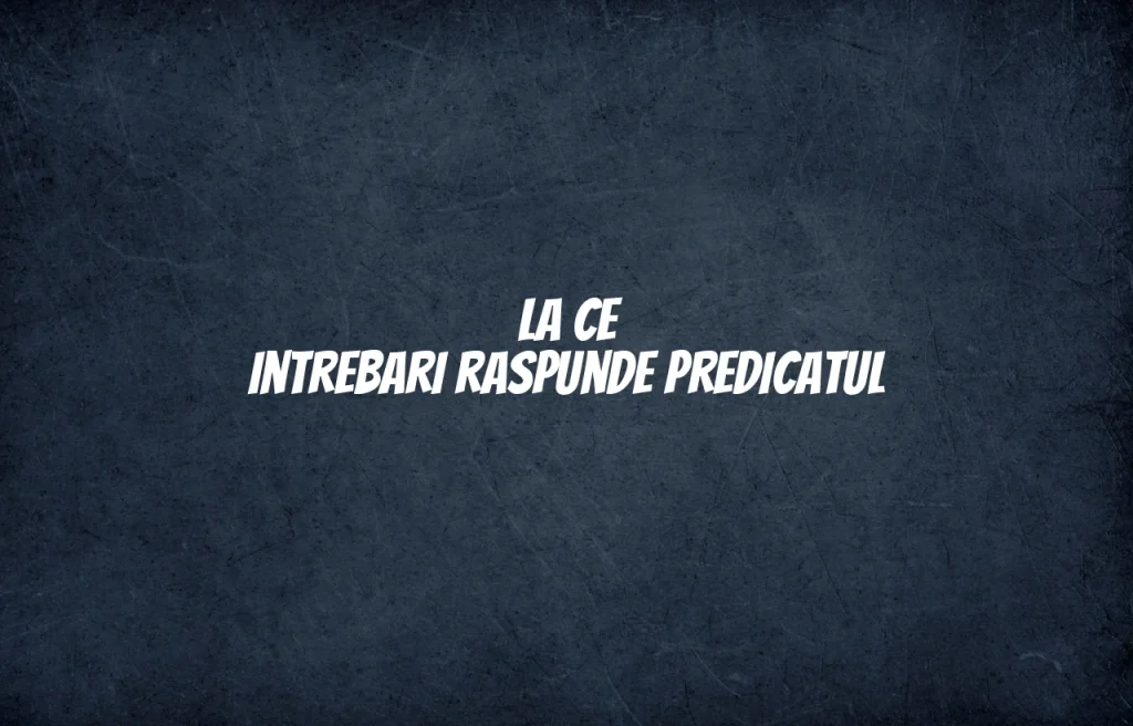 la ce intrebari raspunde predicatul