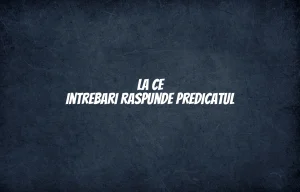 la ce intrebari raspunde predicatul