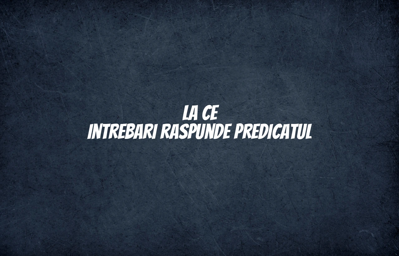 la ce intrebari raspunde predicatul