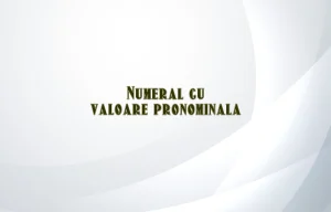 numeral cu valoare pronominala