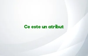 ce este un atribut