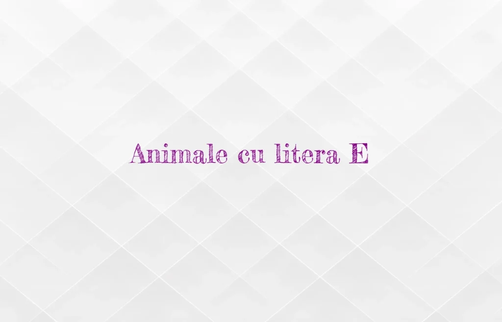 animale cu litera e