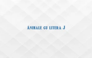 animale cu litera j