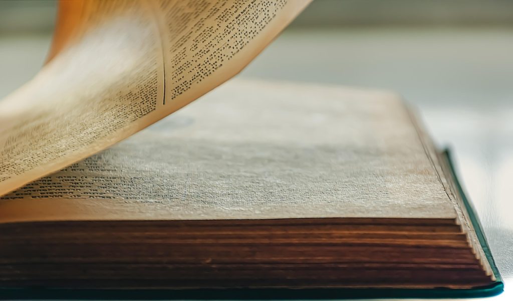 ce inseamna valoare morfologica